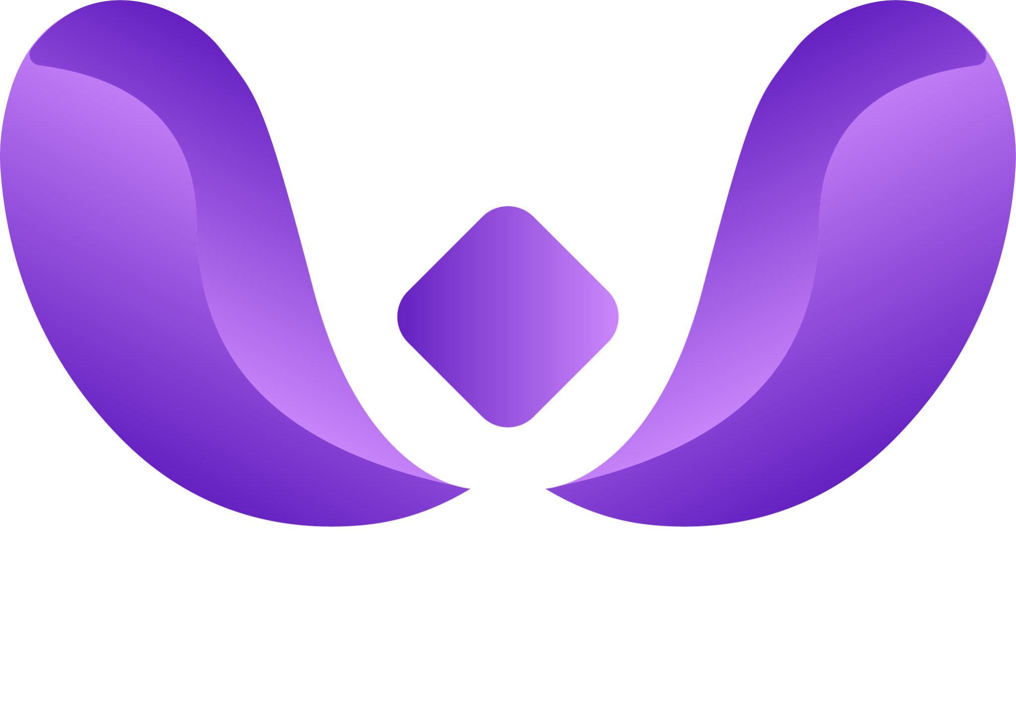 Lady Networking
